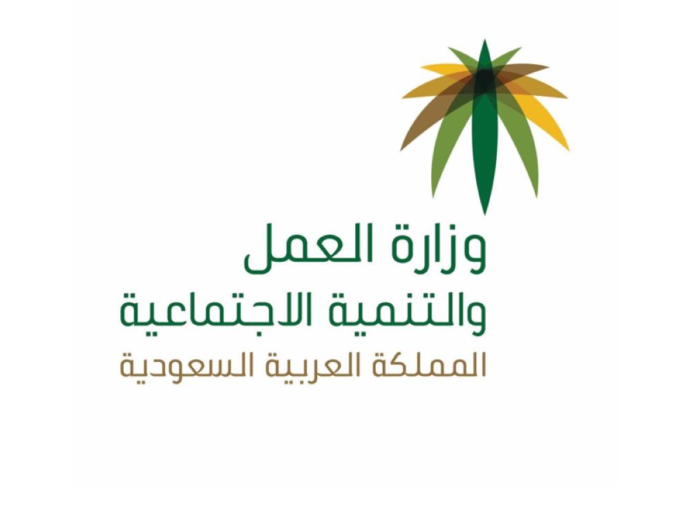 شريك 2
